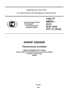 ГОСТ Р 55870-2013