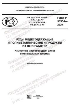 ГОСТ Р 58954-2020