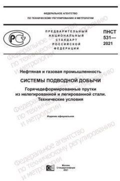 ПНСТ 531-2021