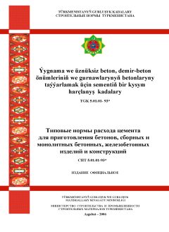 СНТ 5.01.01-93*